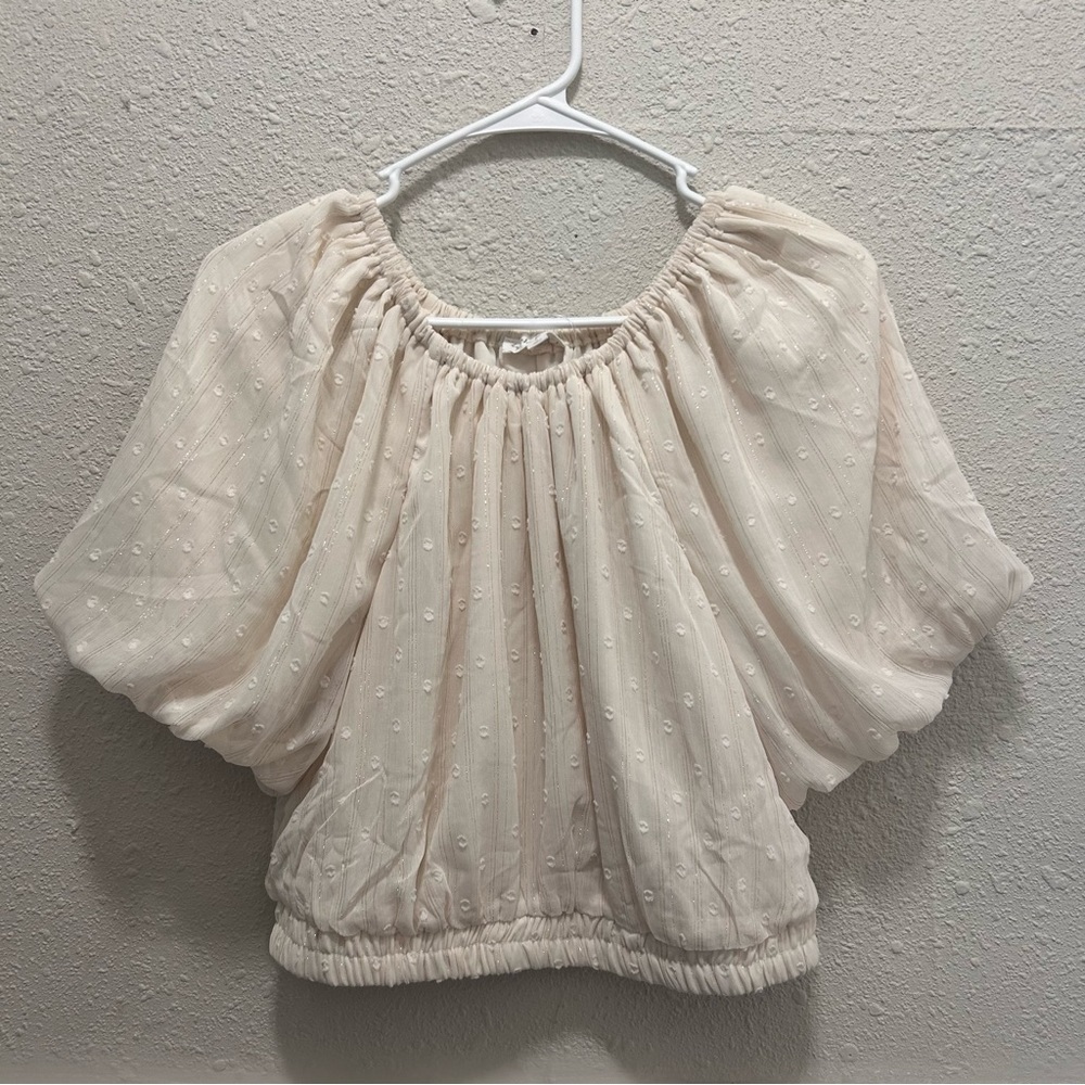 By The River Cream Puff Sleeve Crop Top